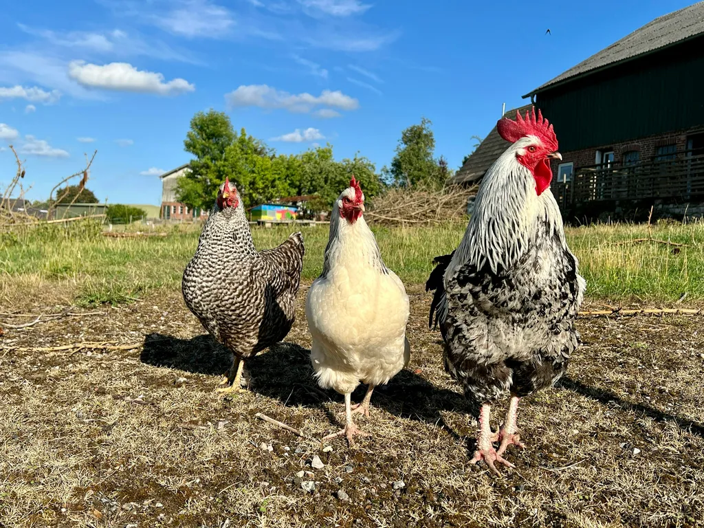 Idyllischer Platz mit Weitblick