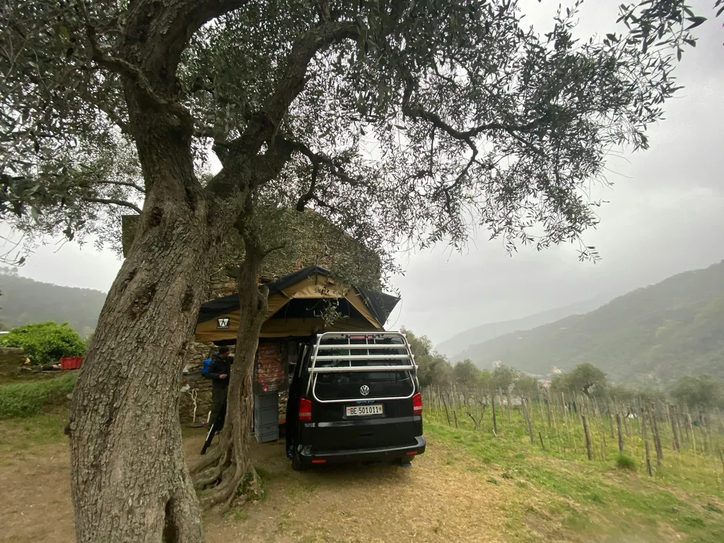 Profilbild von Sabine