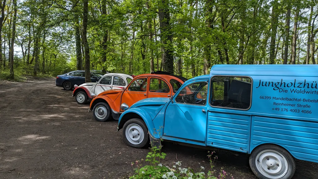 Privater Waldstellplatz in der Biosphäre Bliesgau