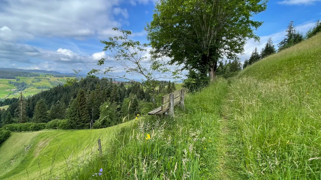 Bild von Esther & Urs für den Spot 311