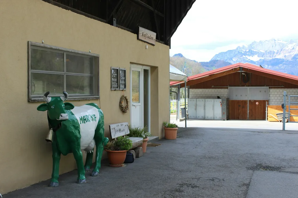 Natur und Panorama Camp "Stein"