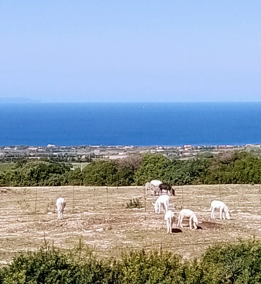 Panorama dall' Oasi di Cinzia