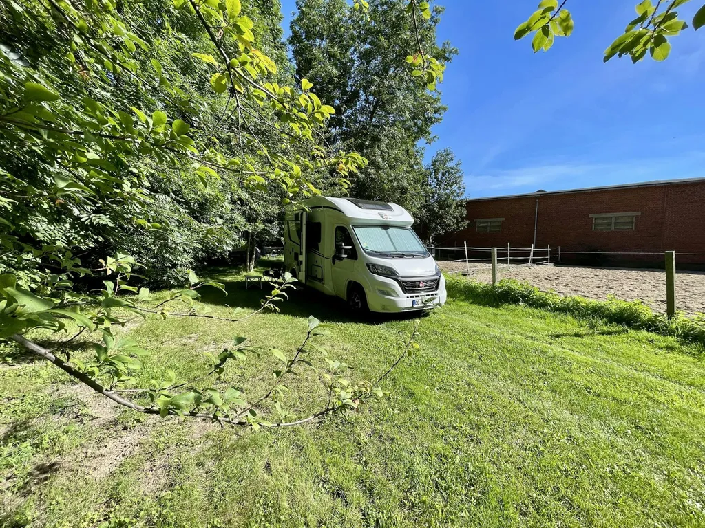 Plätzchen am Bach bei den Pferden