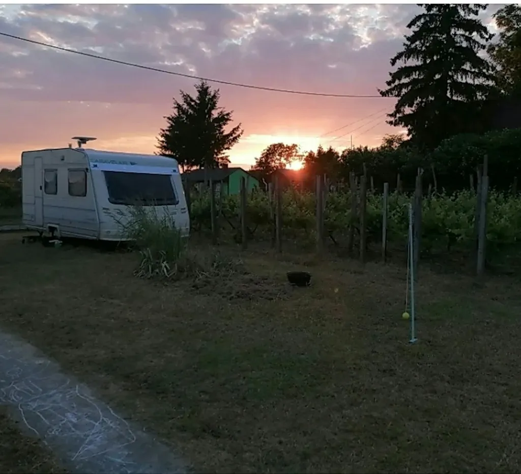 Kleiner Weinberg, ebenes Grundstück