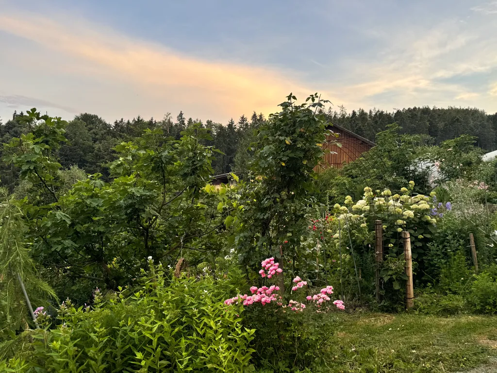 Bild von Corinna für den Spot 684