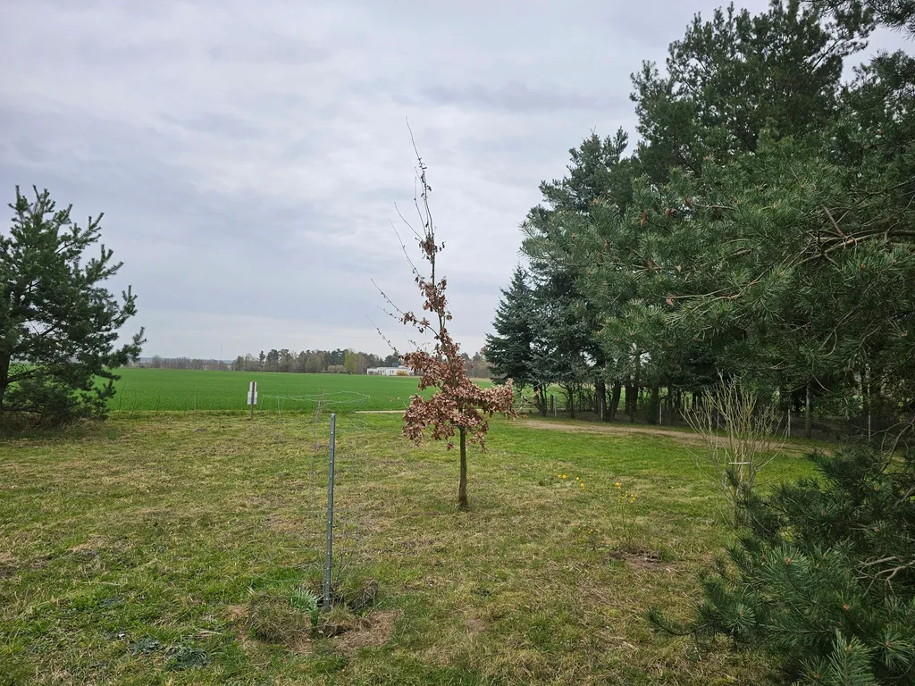 Wiese am Trinkwasserschutzgebiet