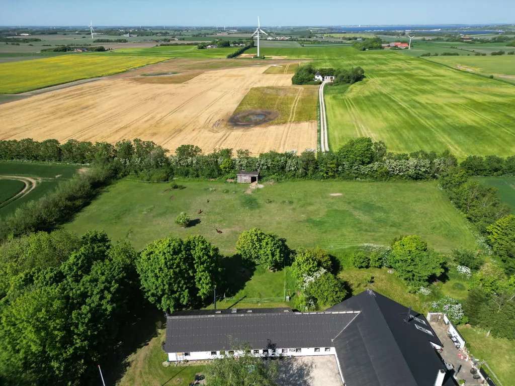 Alpaka Camp - Stellplatz - Fjord und Nordsee