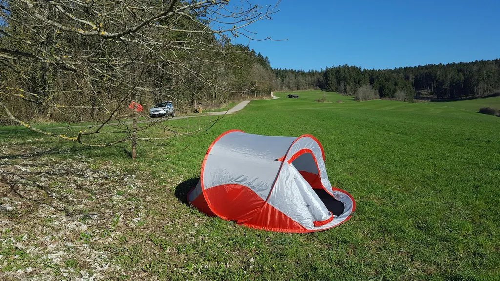 Wiese mit genialem Alpen-Ausblick