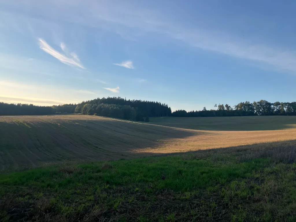 Bild von Silvia De La Cruz für den Spot 1556