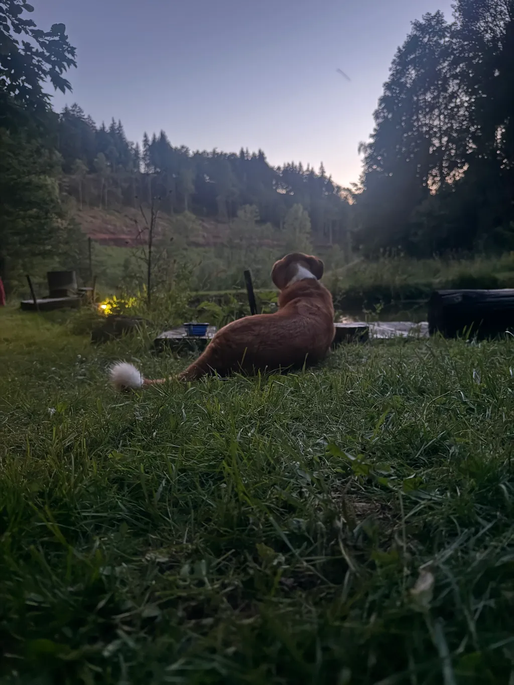 Bild von Thomas für den Spot 3638