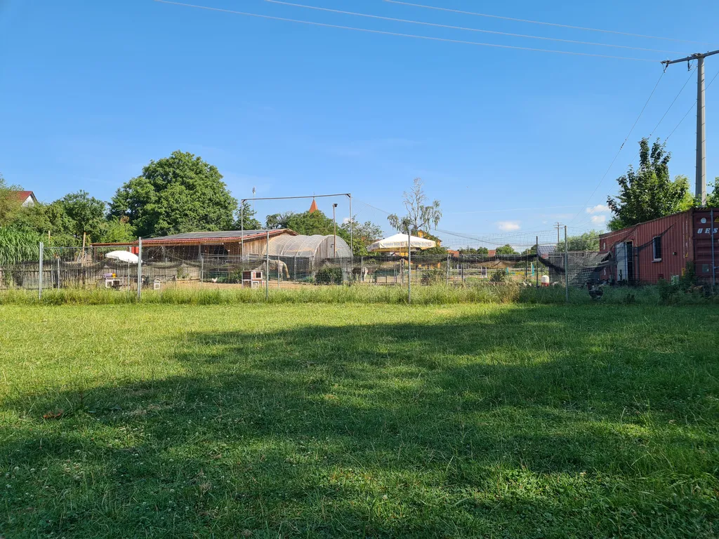 Bild von Leonie für den Spot 762