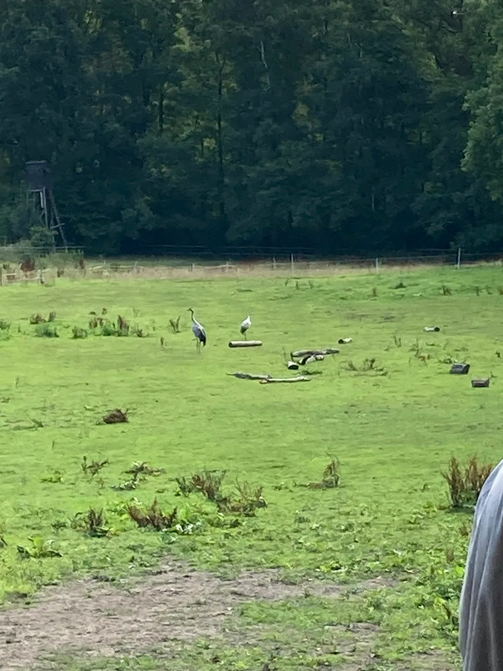 Erholung im Pferdeland