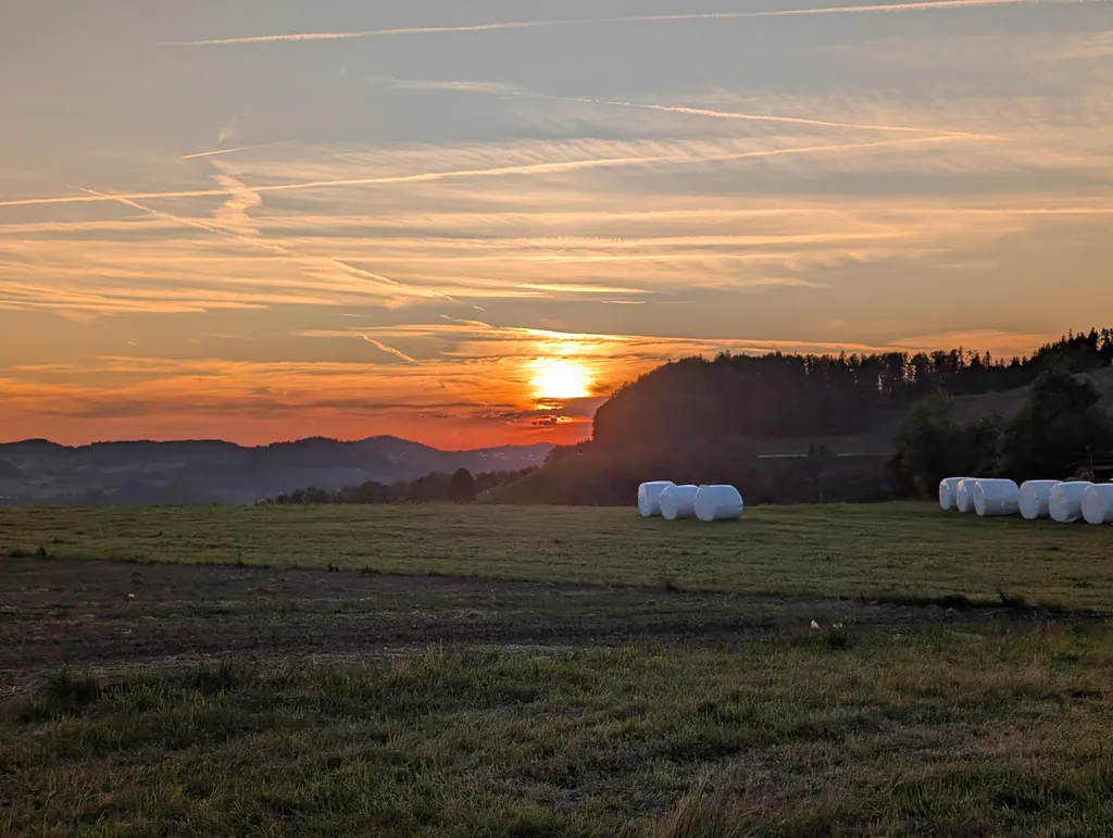 Bild von Family für den Spot 1189