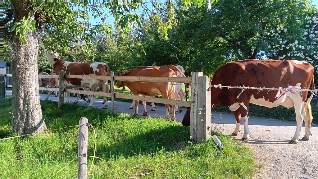 Bild von Andreas für den Spot 4205