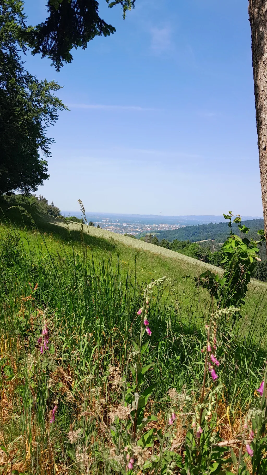 Natur poor/ Horben Blick, Platz bei Elli u Thomas