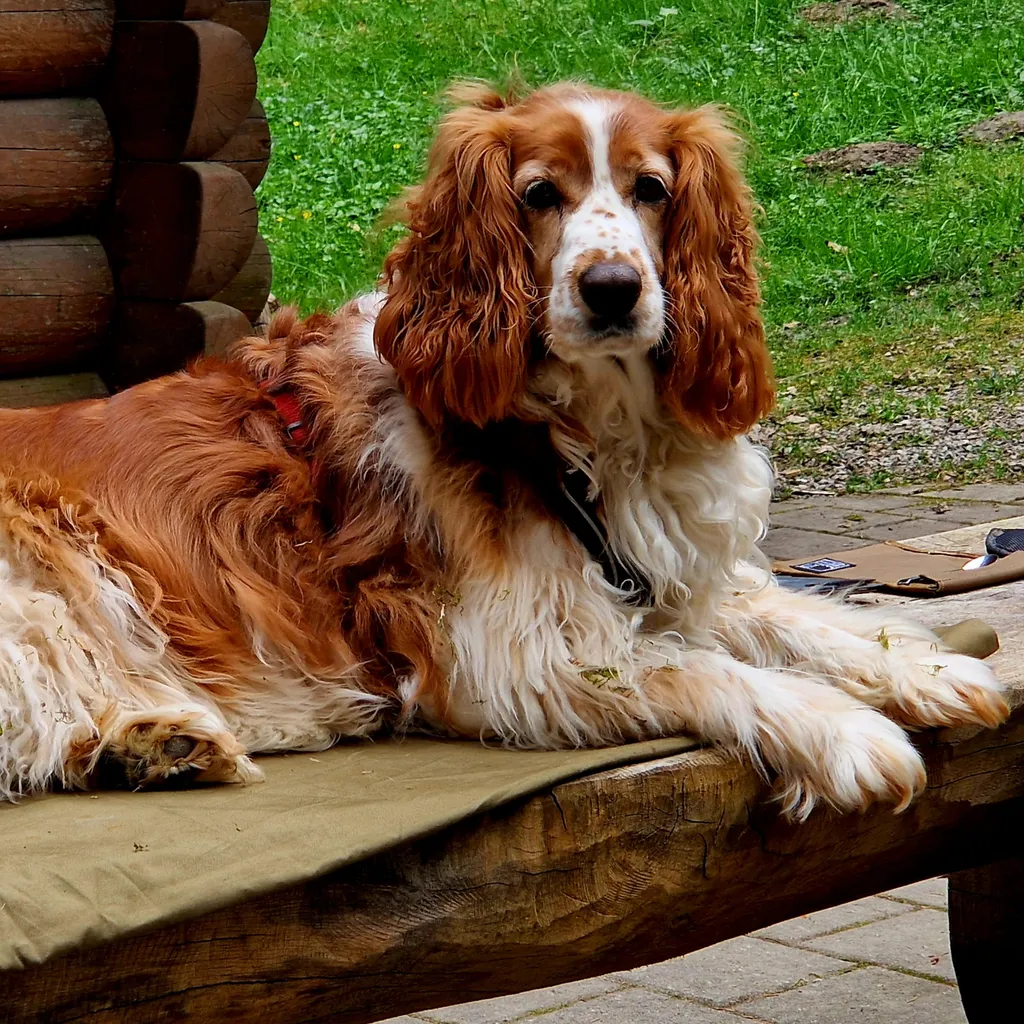 Foto del profilo di Brigitte