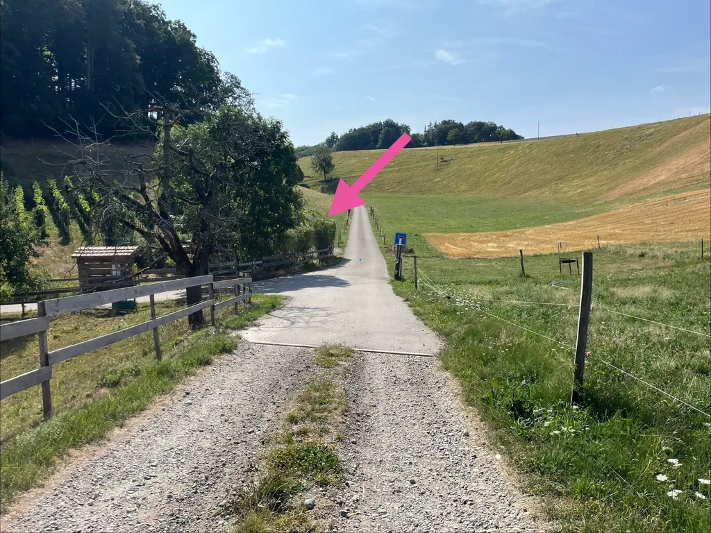 Bild von Jenny für den Spot 1259