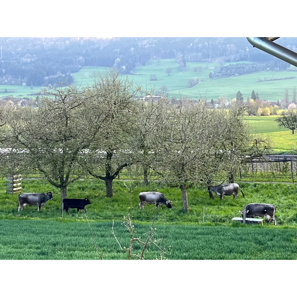 Im Bio-Obstgarten zwischen zwei Seen