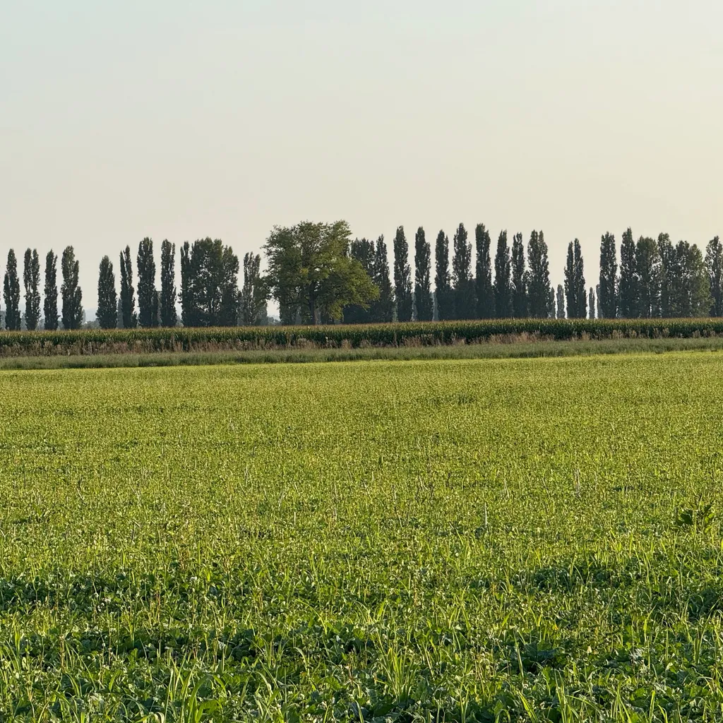 Photo de profil de Beatrice