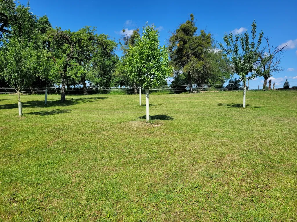 Idyllisches Plätzchen im Obstgarten