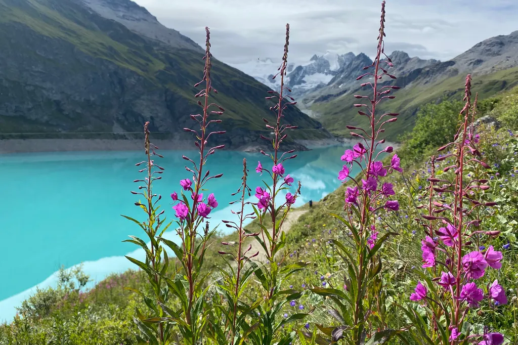 Bild von Anita für den Spot 4138