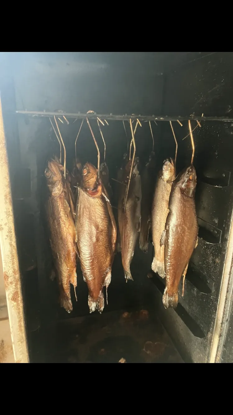 Stellplatz in mitten der Natur