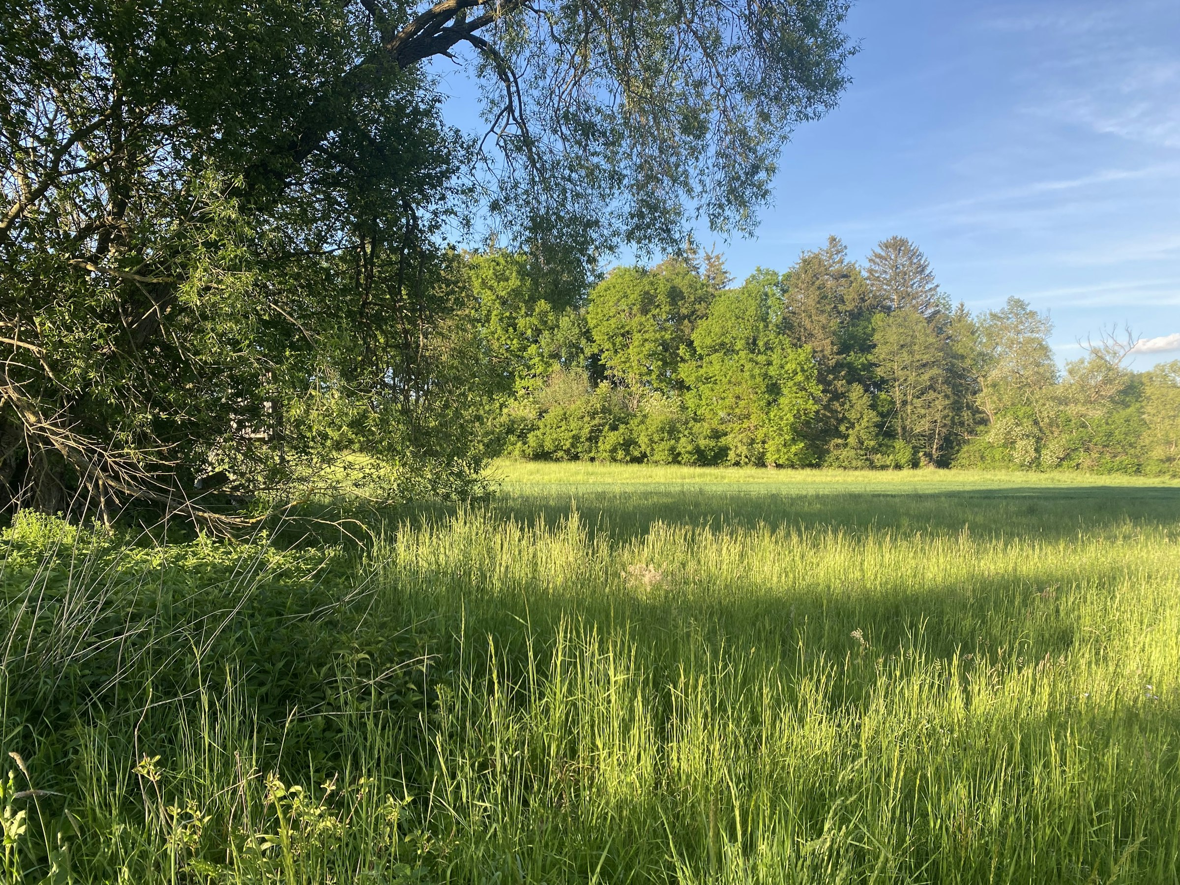 Auszeit von der Stadt