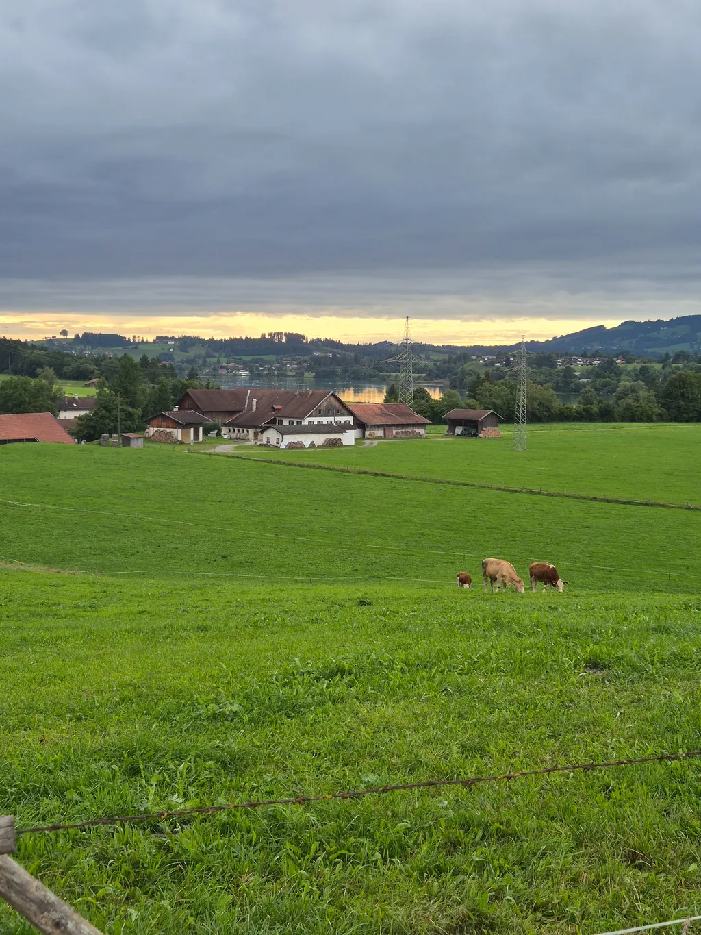 Bild von Claudia für den Spot 3558
