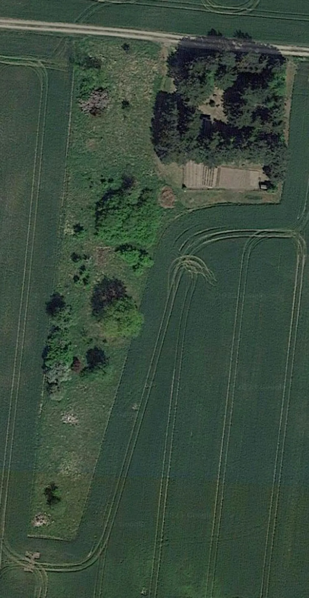 Wiese am Trinkwasserschutzgebiet