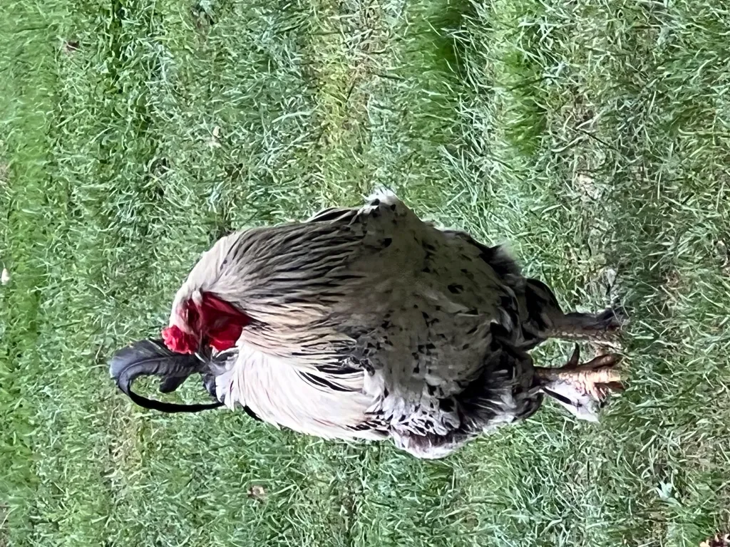 Bild von Stefan für den Spot 2108