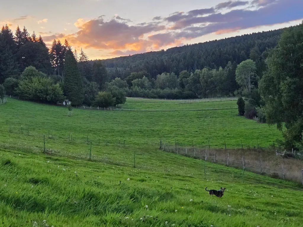 Bild von Carola für den Spot 1923