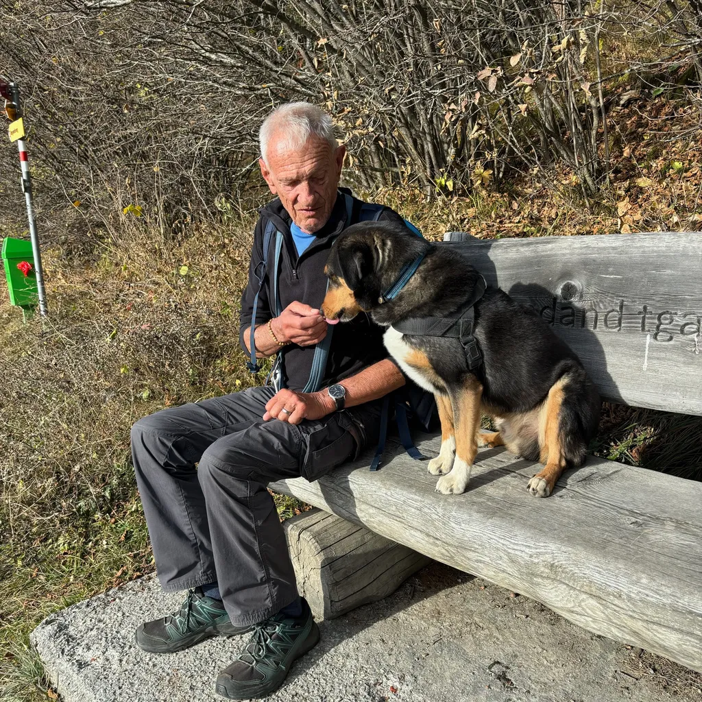 Profilbild von Hans