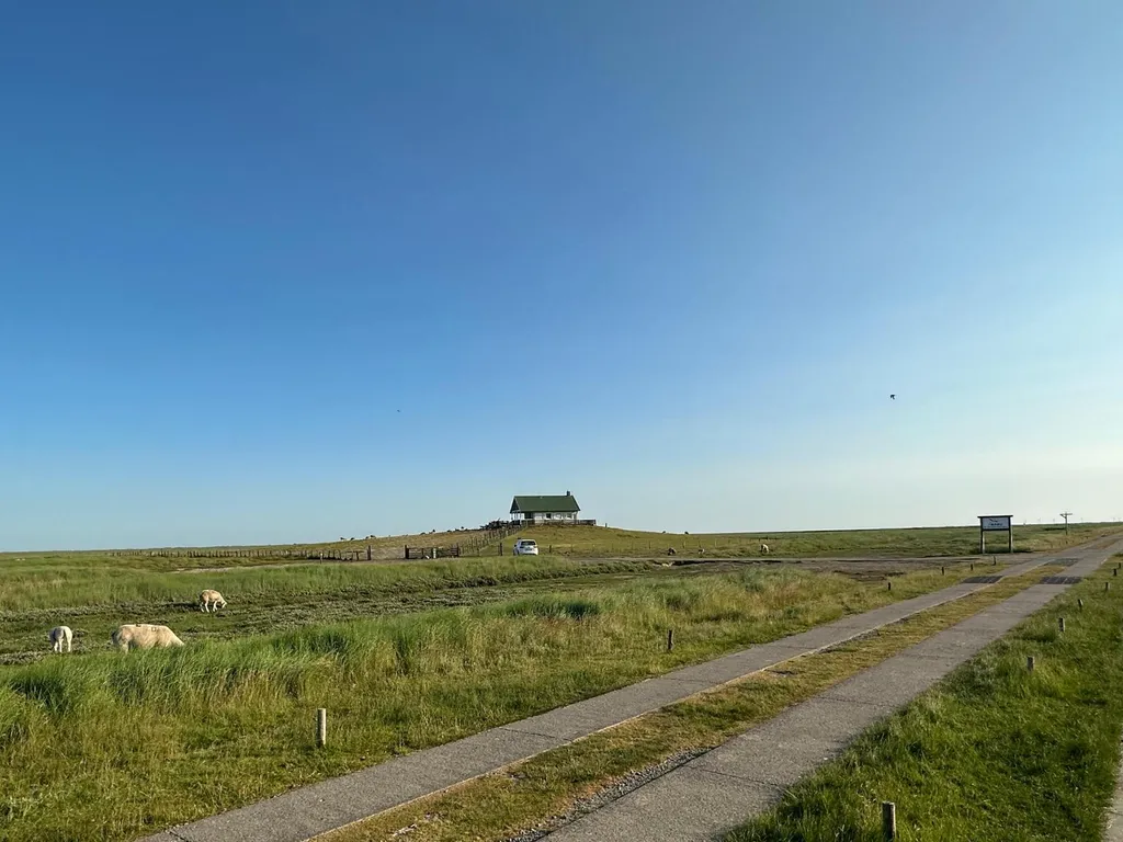 Naturcamp in Deichnähe