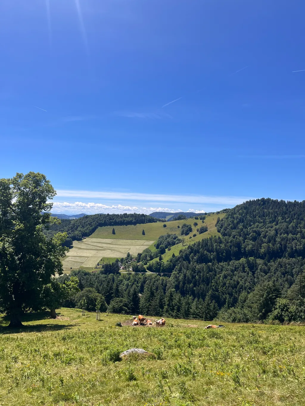 Bild von Sibylle für den Spot 1727