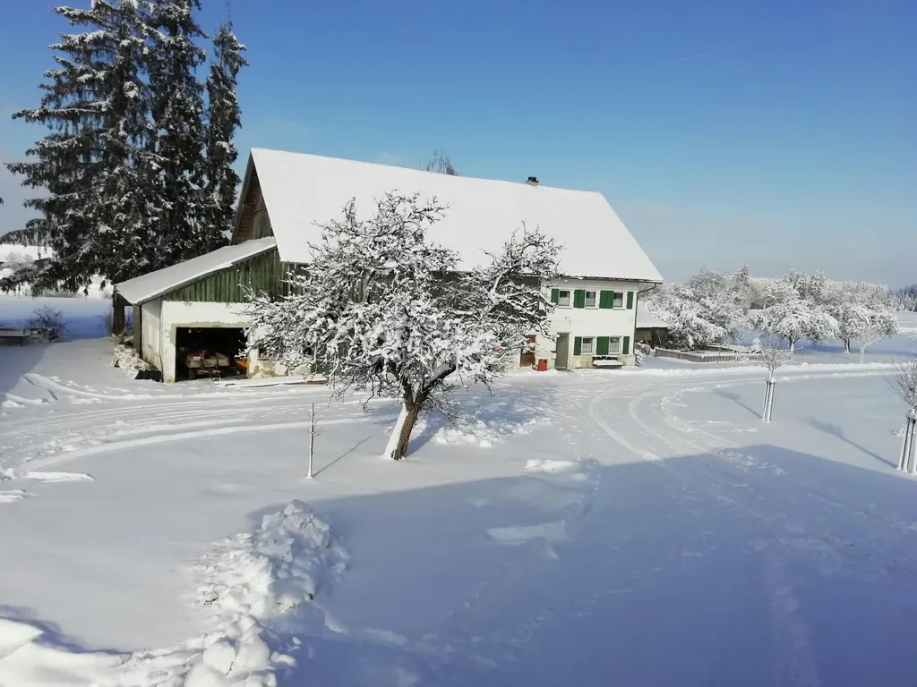 Camping mitten auf der Obstwiese