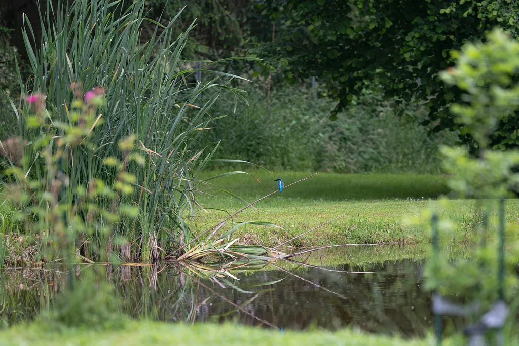 Naturbelassen und sehr gepflegt.
