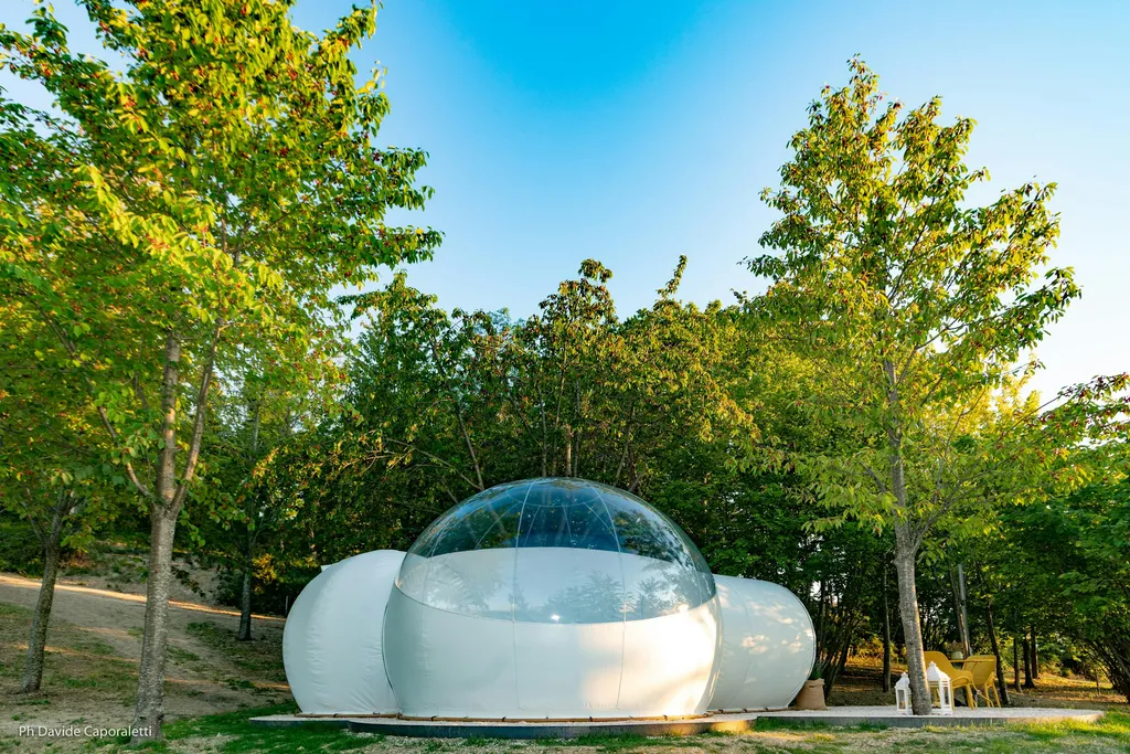 Bubble Room in vigneto a Corinaldo