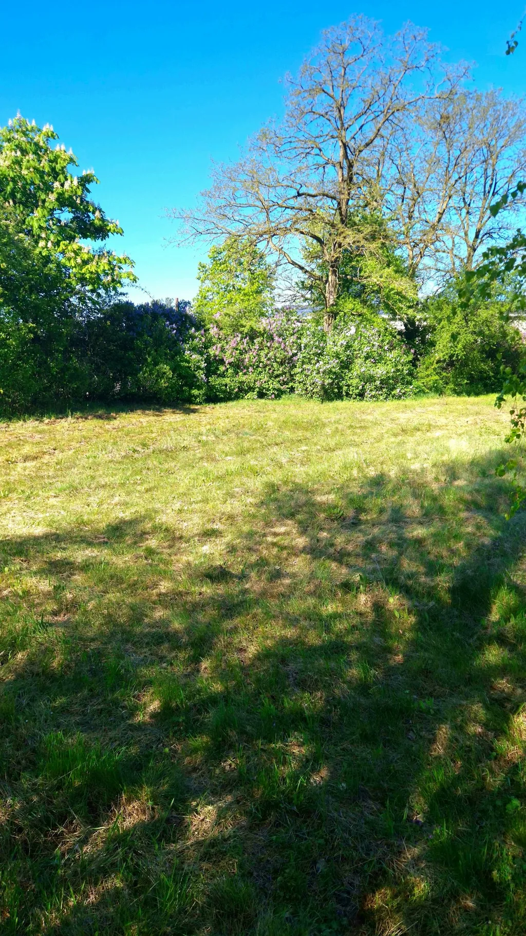 Loppis Camping Wiese Bronkow