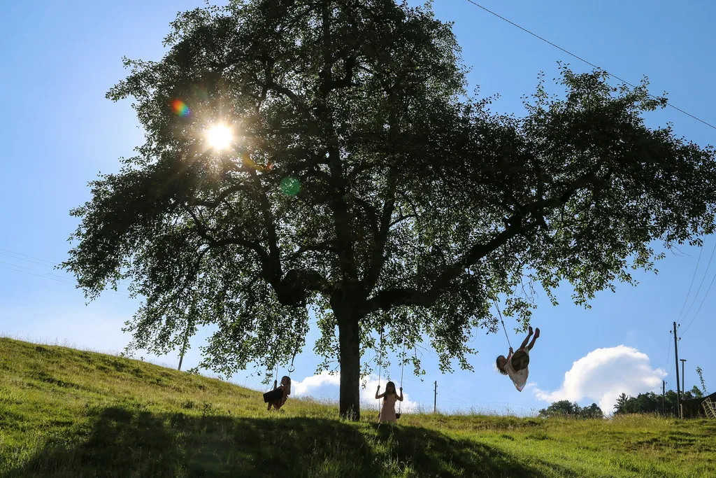 Summerweid in Sarnen