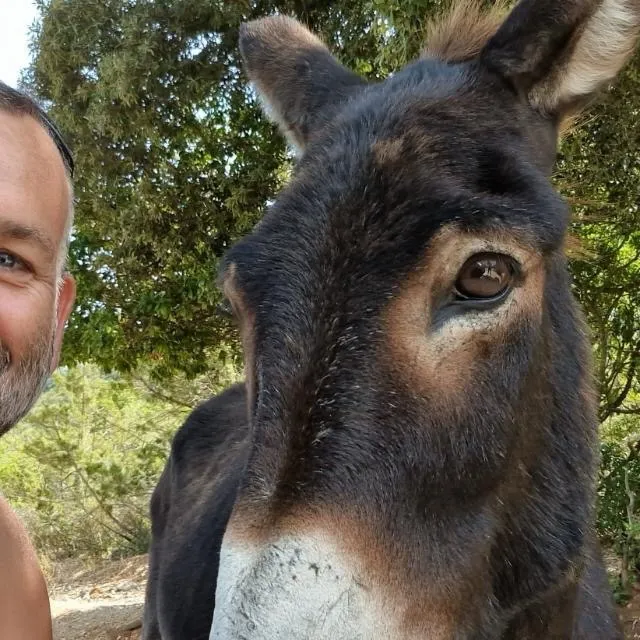 Profilbild von Holger