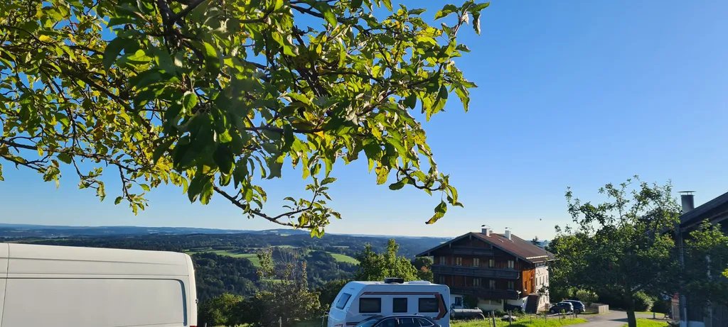 Bild von Jessi für den Spot 4340