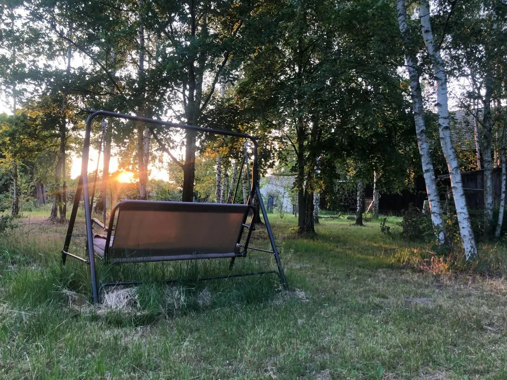 Sonnenuntergang bei den Birken