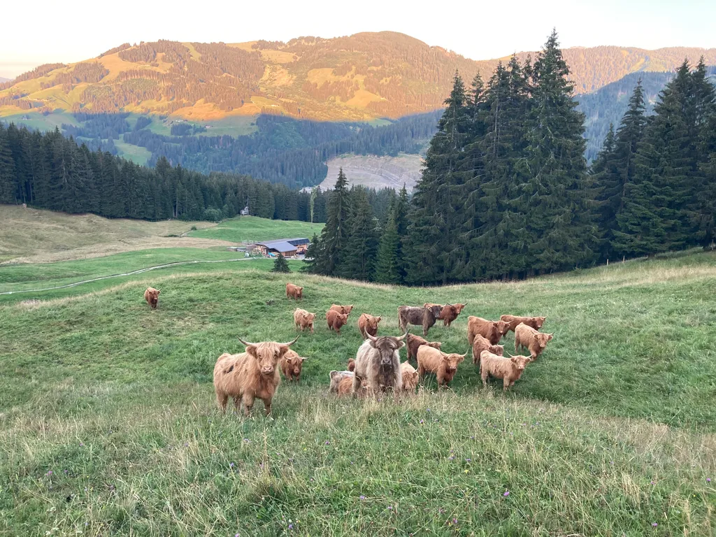 Offroad-Stellplatz in den Freiburger Voralpen
