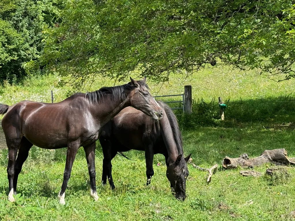 Wisenberg: Weitblick und Erdnähe