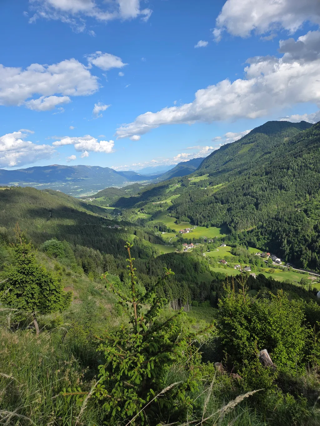 Camp zwischen Wald und Wiese