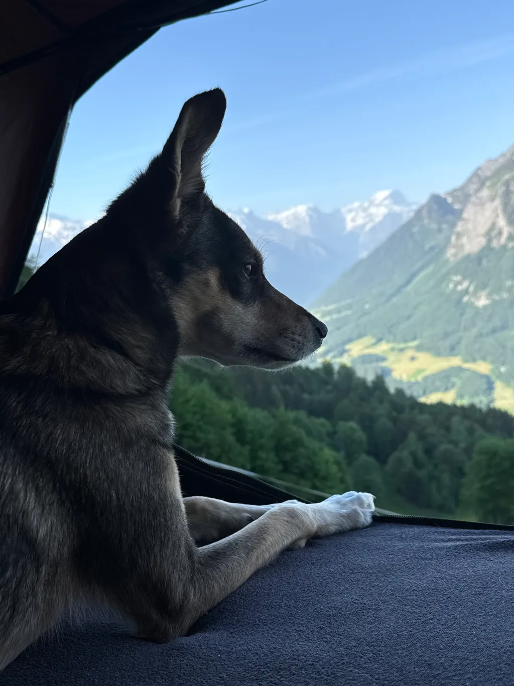 Bild von Sonja für den Spot 3575