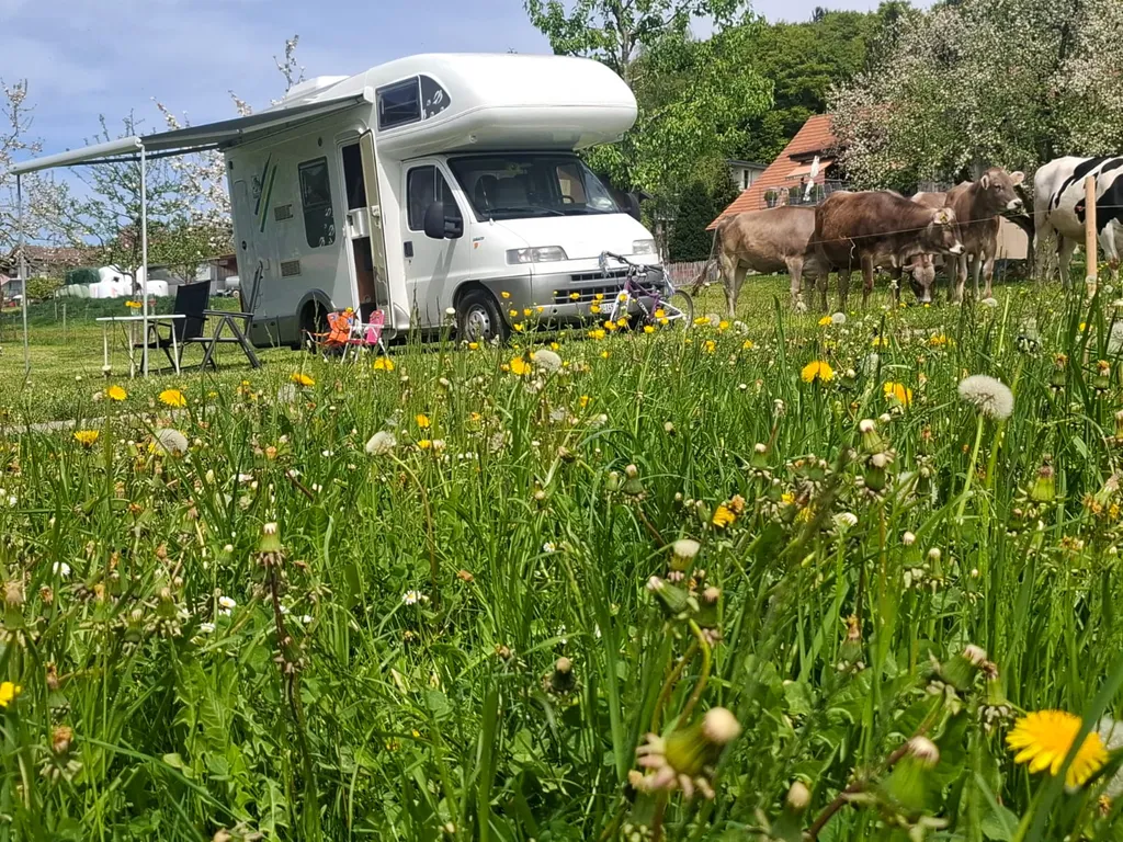 Natur pur: Bauernhof mit Panorama in Schongau LU