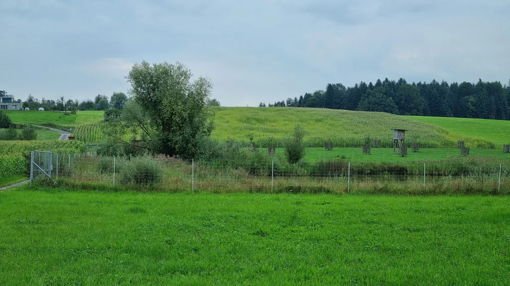 Hirschpark live - Sicht auf Pilatus