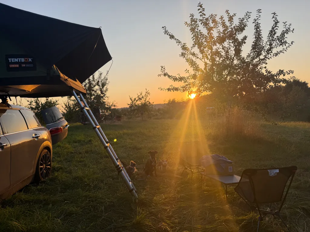 Bild von Jacinta für den Spot 1646