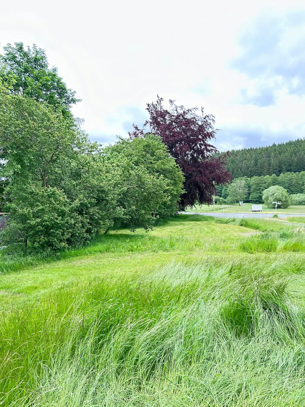 Idylle am Wachhügel